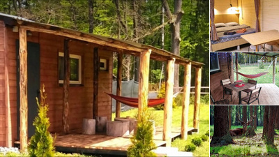 Домики в Беловежской пуще «Forest House»