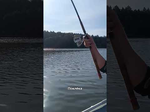 #fishing #рыбалка #поклёвка #неман #лодка