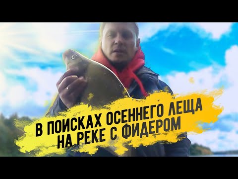 Фидер. В поисках осеннего леща на реке.