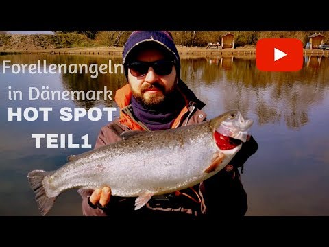 HOT SPOT auf Saibling Teil 1! Forellenangeln mit Spoons in Dänemark!