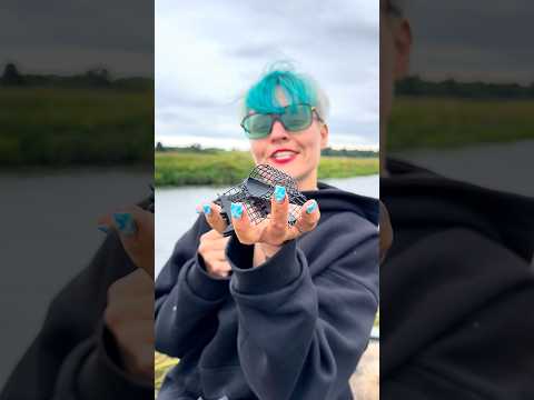 Распаковка! Кормушки Вампир ?‍♂️ для фидера