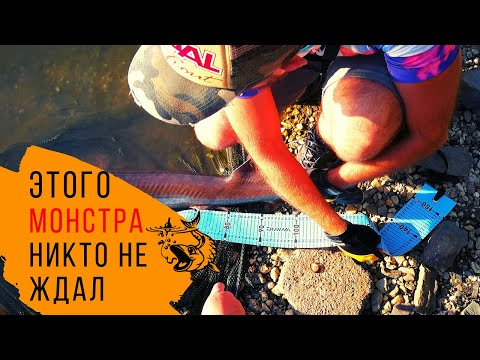 ПОПЛА ПОППЕР косит рыбу! Форелевая рыбалка ультралайт на платнике в Германии