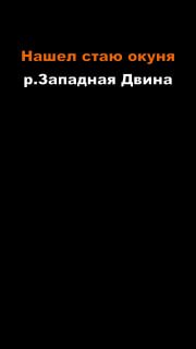 Двина говорит: «Не клюет!» ?Объездил на лодке все проверенные точки, перебрал всю коробку с силиконом, блеснами и во