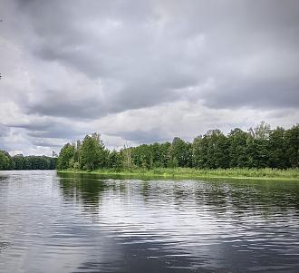 Осиповичское водохранилище.  Фидер и много молодых лещей