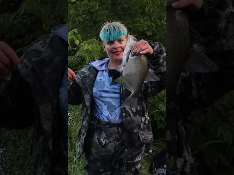 Какой лещик на фидер! Река Свислочь ?️