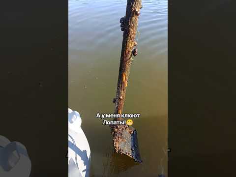 Юмор на рыбалке #fishing #неман спиннинг #лодка