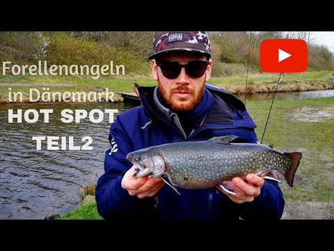 HOT SPOT auf Saibling Teil 2! Forellenangeln mit Spoons in Dänemark!