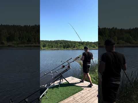 ‼️ Обзор 25 сектора водоем «Ковалевичи» ✨ #carpfishing #fishing #carp #рыбалка #природа