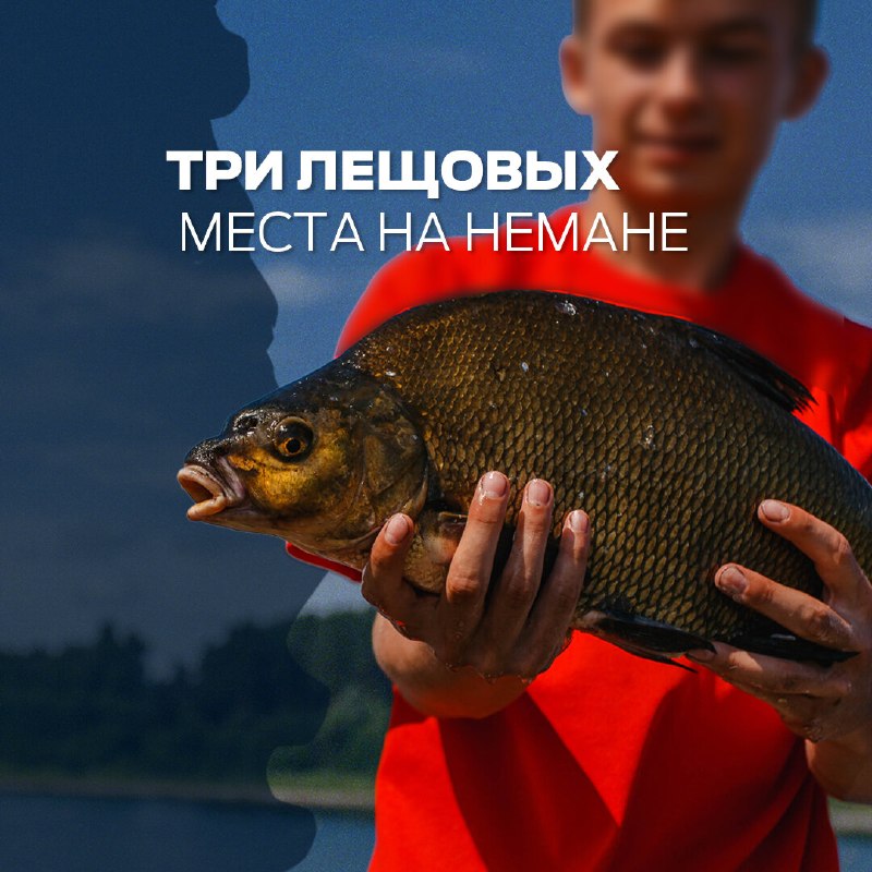​Летом на Нёмане хороший клёв на фидер бывает не везде. Рассказываем о трёх участках, где можно рассчитывать на хороший 
