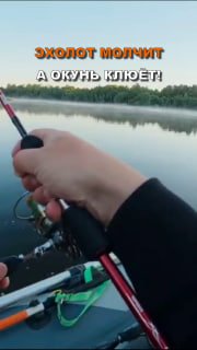 Когда эхолот «слепой», а рыбак с уловом!?Бывало у вас такое: смотришь в экран эхолота — там «пустыня», ни единого си
