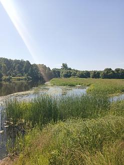 Свислочь. Клеву хищника жара не помеха