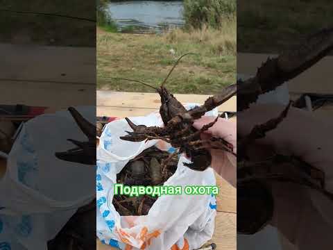 Подводная охота.