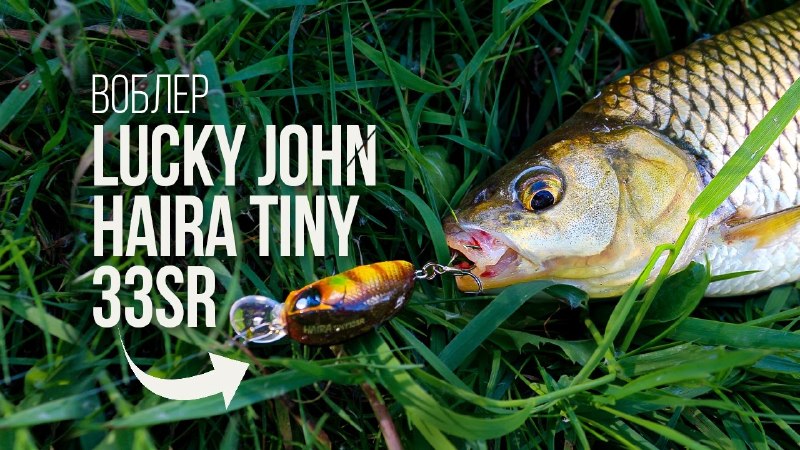 Воблер Lucky John Haira Tiny 33SR поймал всё! Окунь, щука, голавль и пескарь на один кренк!YouTube | VK | Facebo