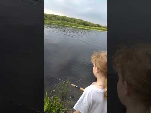 РЕКА БЕРЕЗИНА ДУБЫ БОБРУЙСК ??? #рыбалка #fishing #беларусь #березина #отдых