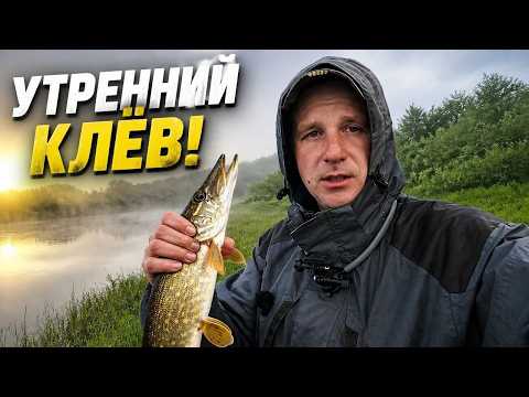 Ультралайт на Западной Двине | Ловля на воблеры и блесны.