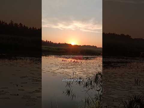 #fishing #старица #неман #поплавок #линь