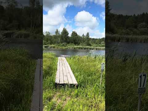 ‼️Обзор 17 сектора водоем «Ковалевичи»✨ #carpfishing #рыбалка