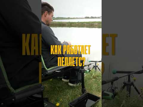 Пеллетс во флэт-кормушке: что с ним происходит под водой?