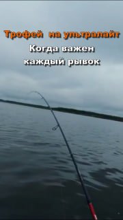 Испытание на прочность: Трофей на деликатную снасть ?Ловля с лодки хороша тем, что дает простор для маневра, но когда на