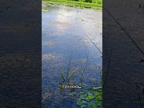 #рыбалка #fishing #грязь #неман