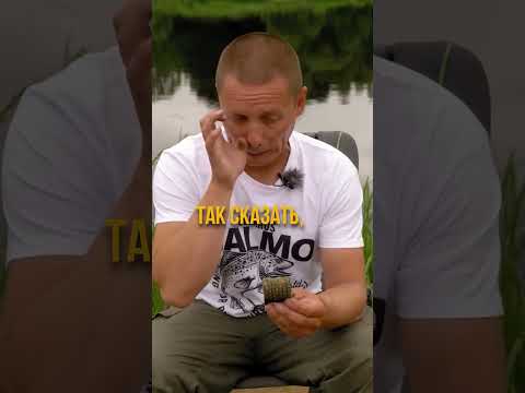 Какой должна быть прикормка для ловли на реке?