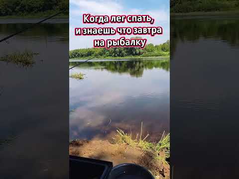 Я перед сном на рыбалку