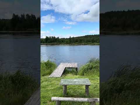 ‼️Обзор 22 сектора водоем «Ковалевичи»✨ #carpfishing