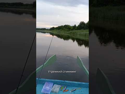#рыбалка #fishing #спиннинг #неман #окунь