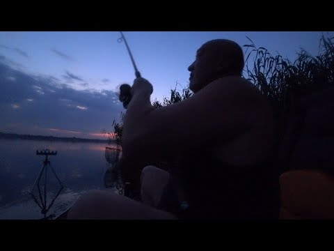 НОЧНОЙ ФИДЕР || ГРОДНЕНСКОЕ ВОДОХРАНИЛИЩЕ || АВГУСТ 2026