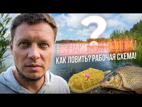 Флэт фидер на незнакомом платнике — минимум снастей, рабочая прикормка и осознанный подход