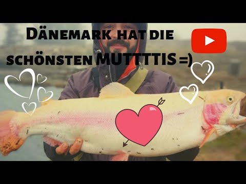 Forellenangeln mit Spoons in Dänemark! Es kann nur BESSER werden!