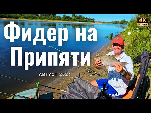 Припять 2026: Фидерная рыбалка, лещ, чехонь и трофей, который сорвался...