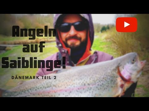 Forellenangeln mit Spoons in Dänemark! Biss auf Biss! Teil 2