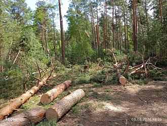 На Вилейском водохранилище.  Ураган. Поиски места. Битва с Петровичем. Караоке.  Лещ приплыл.