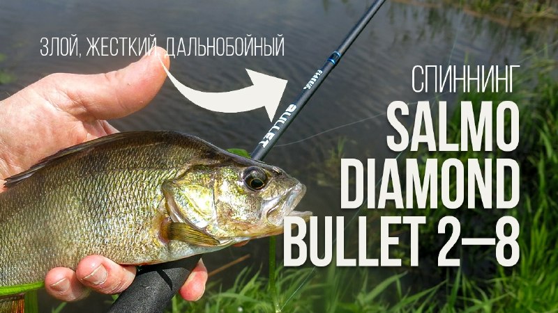 Злой. Жесткий. Дальнобойный. Обзор спиннинга Salmo Diamond BULLET 2–8 (2,1м) S5050-210YouTube | VK | Facebook | Rutube |