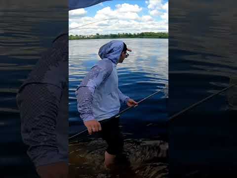 ? А вот и новое видео на канале «Лови с нами»!