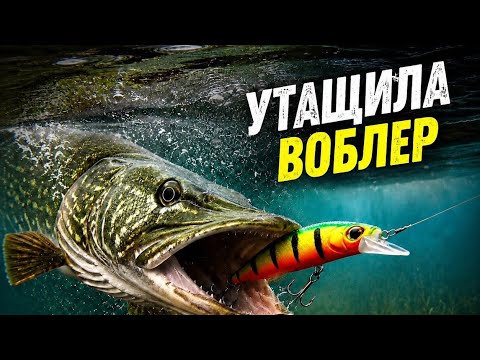 Нашел РАБОЧУЮ силиконовую ПРИМАНКУ! Рыбалка с лодки на щуку со спиннингом