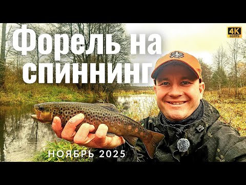 Секреты ловли ручьевой форели на спиннинг!  Самая красивая рыба!