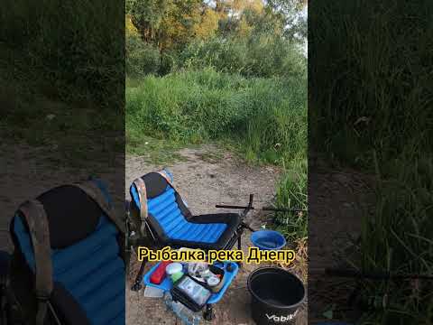 Рыбалка река Днепр