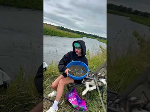 Река Свислочь?Улов✅Рыбачу в Беларуси
