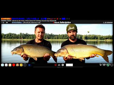 Олег Квициния прислал подарки Qbaits. Распаковка и обзор