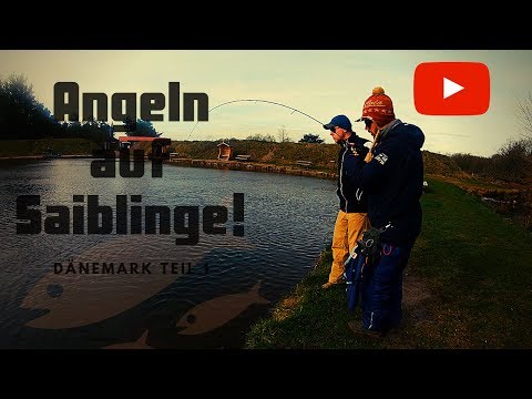 Forellenangeln mit Spoons in Dänemark! Wo steht der Saibling? Teil 1