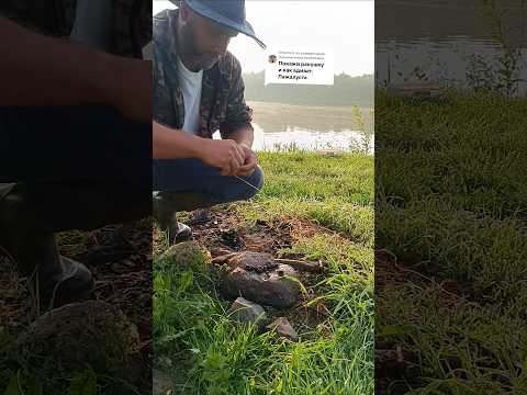 #рыбалка #ракушка #наживка # #fishing