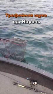 ТРОФЕЙ СЕЗОНА-ЩУКА 110 см НА НАРОЧИ!! ??Евгений Атрахимович о очередной вылазке на Нарочь...?Эмоции до сих пор з