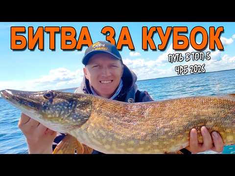 Рыбалка на пределе | Прошли 6 туров и зашли в ТОП-5 ЧРБ