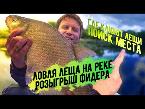 Ловля леща фидером на реке. Но есть нюансы...