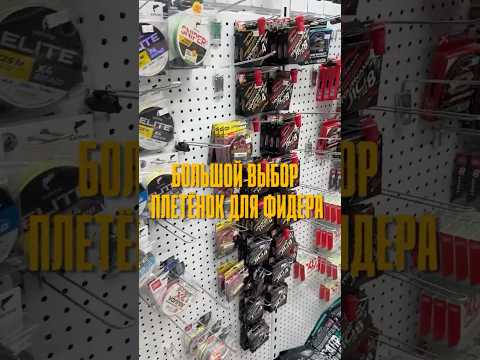 Плетёнки в Salmo: от Feeder Concept до японской Daiwa Morethan 8