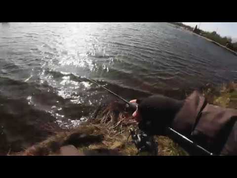 Forellenangeln in Dänemark! LOCHNESS MONSTER WLADI Teil 2