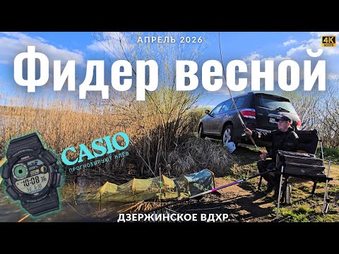Фидер 2026. Ловля крупной плотвы. Часы CASIO предсказали КЛЁВ?
