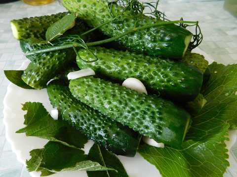 ОГУРЦЫ МАЛОСОЛЬНЫЕ НА МИНЕРАЛКЕ. Самые вкусные, ароматные, хрустящие!